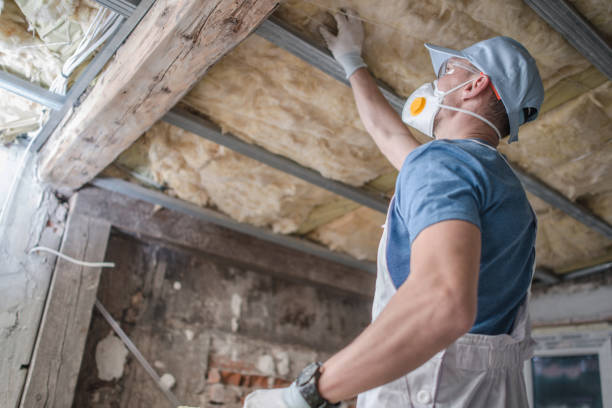 Best Insulation Maintenance and Repair in Mitchell, IN